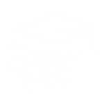dmd degree